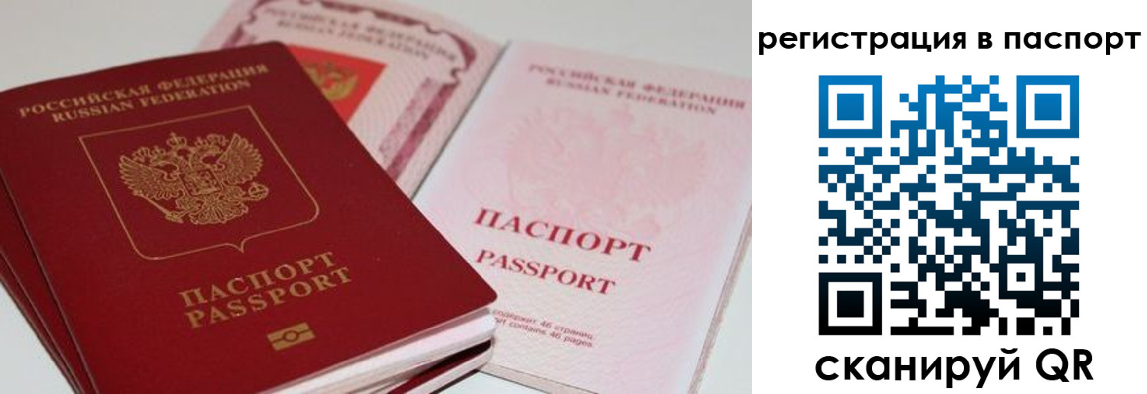 найти адрес прописки в Гаджиево